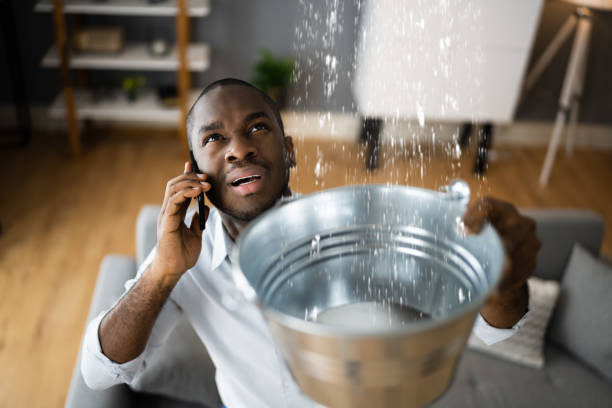 Best Water damage cleanup near me  in Flora, AL