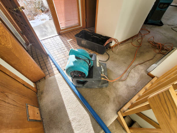 Best Local water damage restoration  in Flora, AL