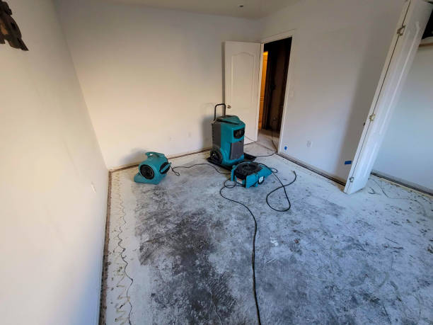 Water damage restoration insurance claims in Florala, AL