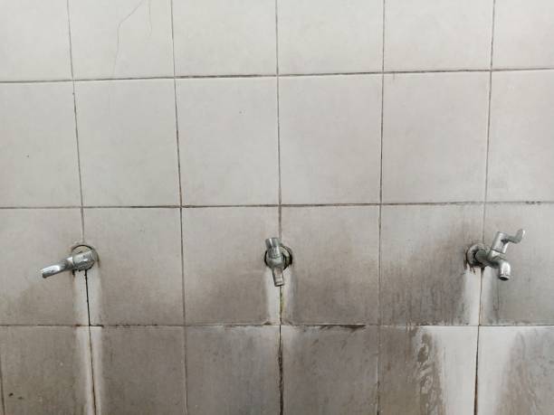 Best Emergency water extraction  in Flora, AL