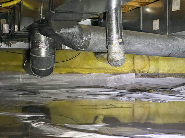 Best Sewage cleanup and water damage restoration  in Flora, AL